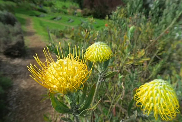 Photo of the Day: Blooming Beautifully